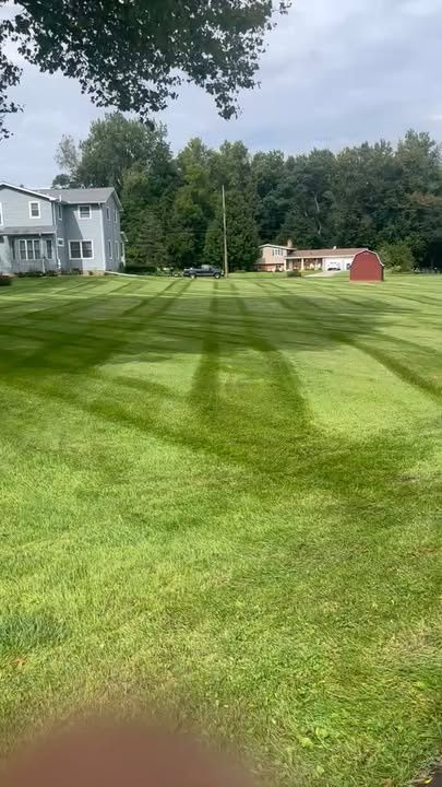 Lawn Maintenance