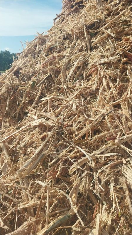 Forestry Mulching