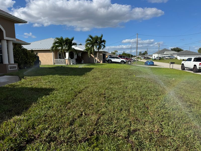 Transforming Sandy Spaces into Lush Lawns