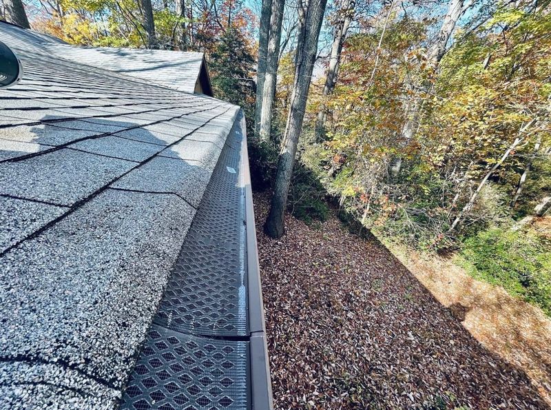 Gutter Cleaning/Gutter Guard Installation