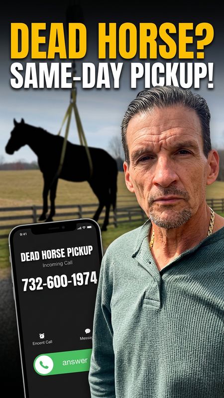 Dead Horse Removal