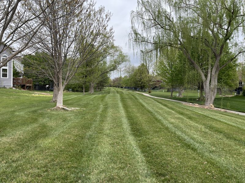 HOA Landscape Management