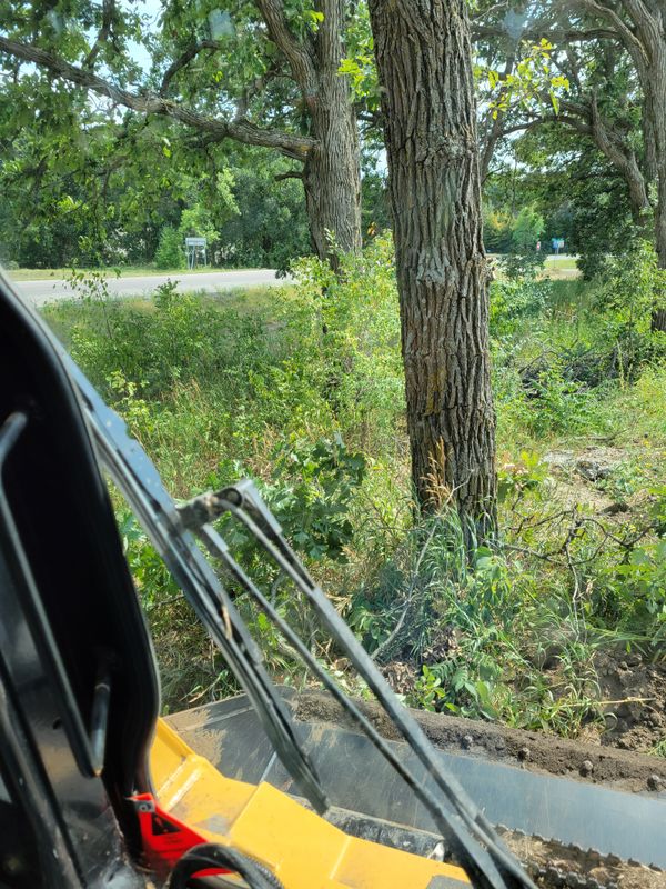 Land Clearing und Grading