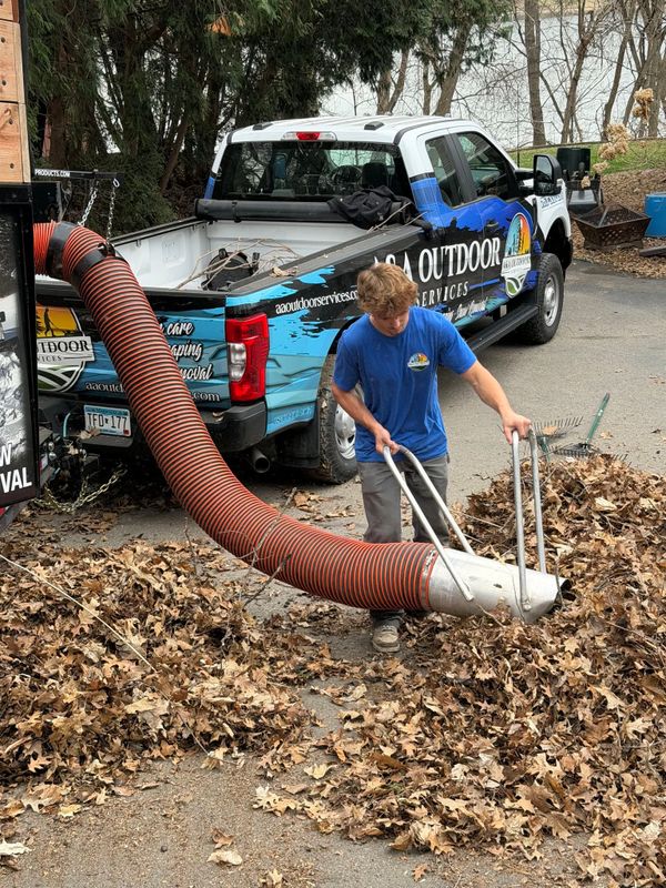 Fall Clean Up