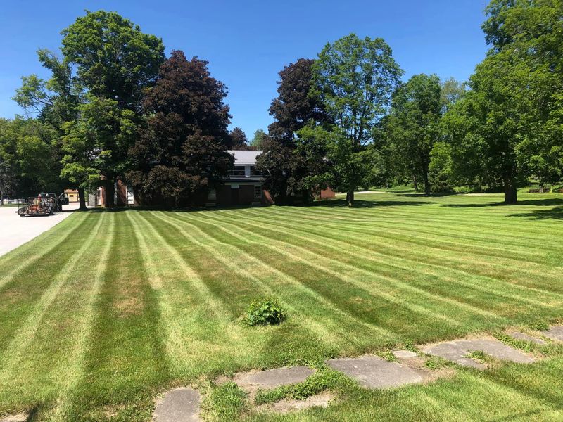 Weekly Mowing