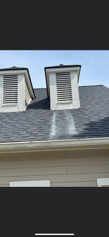 Roof Cleaning