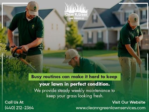 Weekly Lawncare