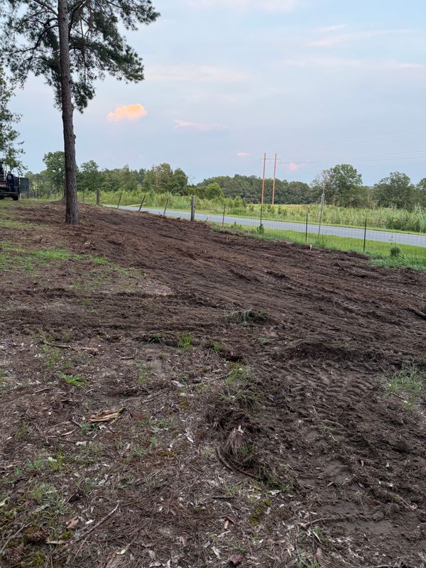 Land Clearing