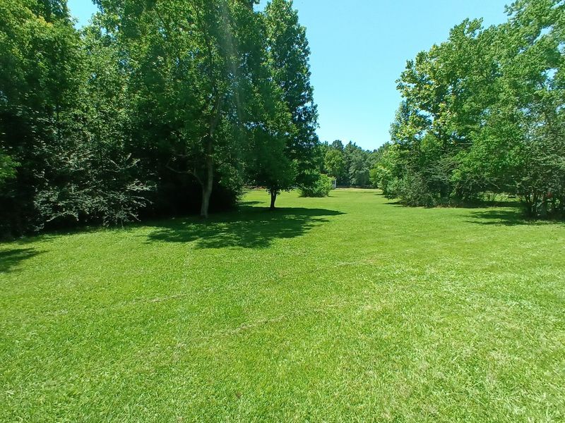Tree & Shrub Care