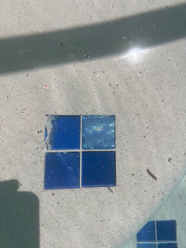 Pool Repair