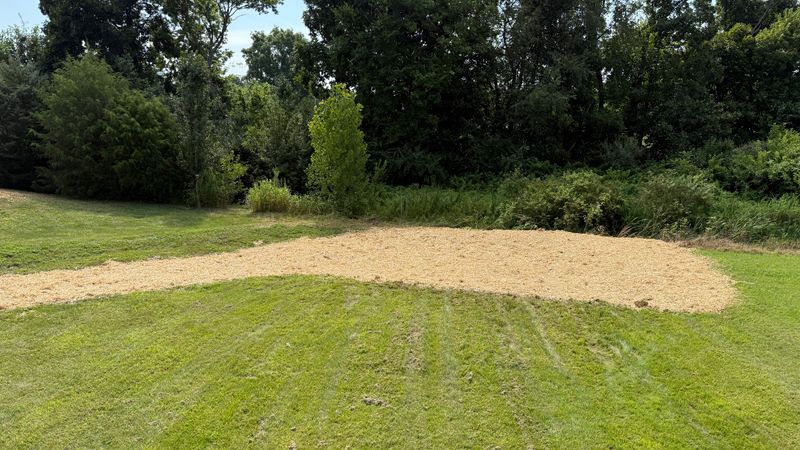Sod and Seeding