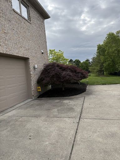 Shrub Trimming