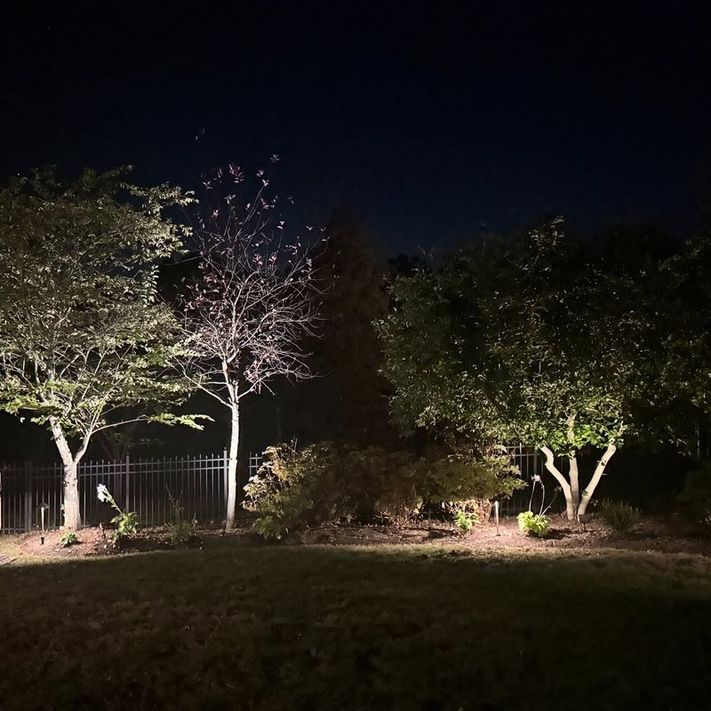 Landscape Lighting