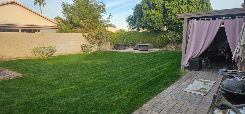 Lawn Maintenance / clean ups