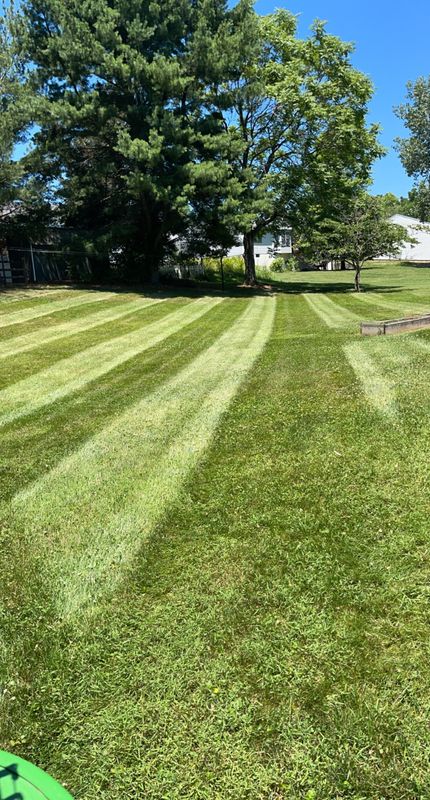 Lawn Care