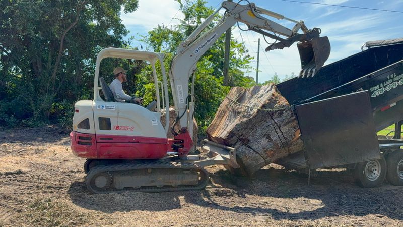 Land Clearing
