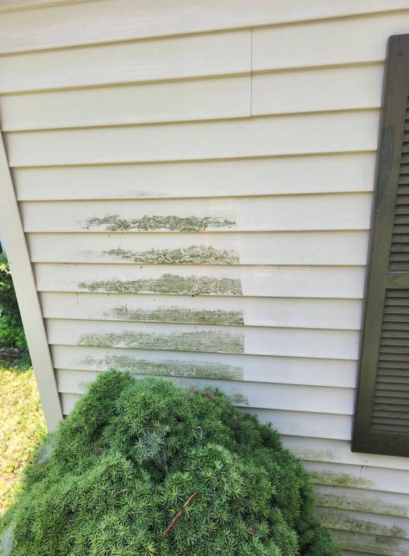 Landscaping & Hardscaping