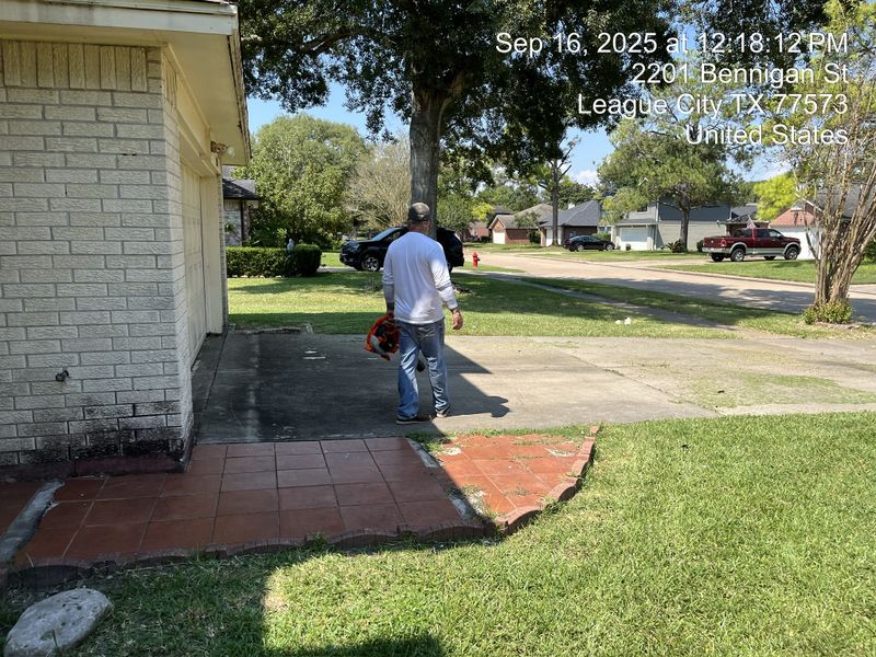 Lawn and Yard Maintenance