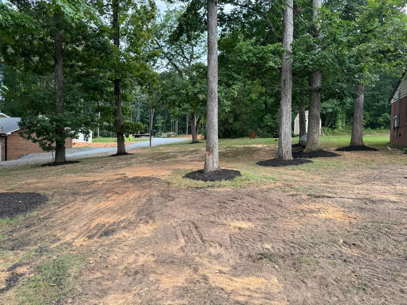 Mulch Installation