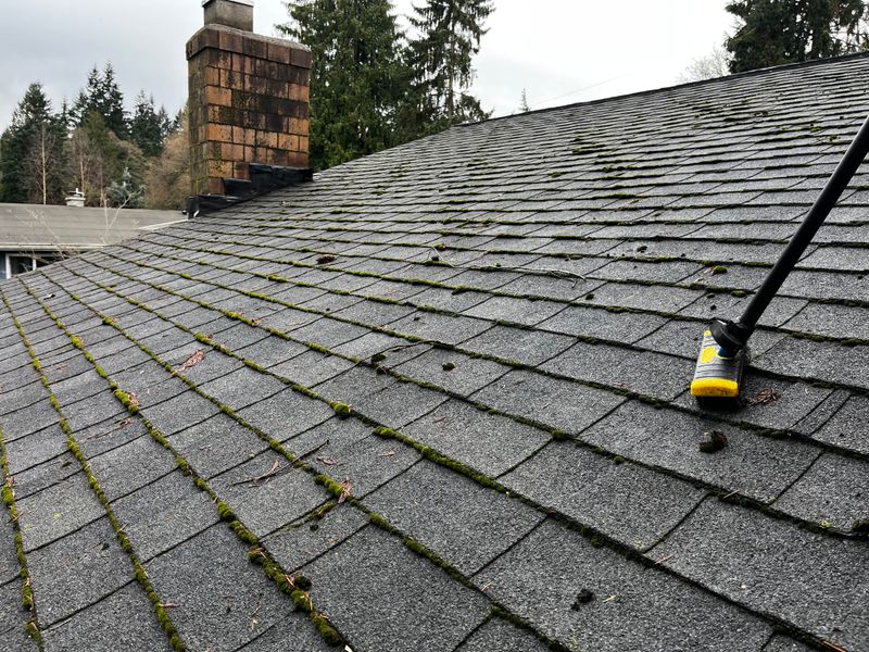 Roof Cleaning