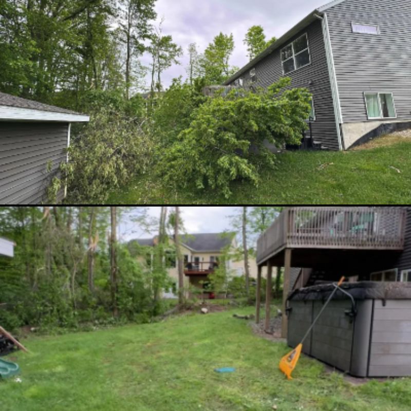 Storm Cleanup: Backyard Tree Removal