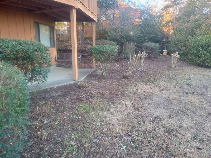 Tree & Shrub Care