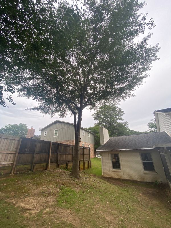 Expert Tree Trimming