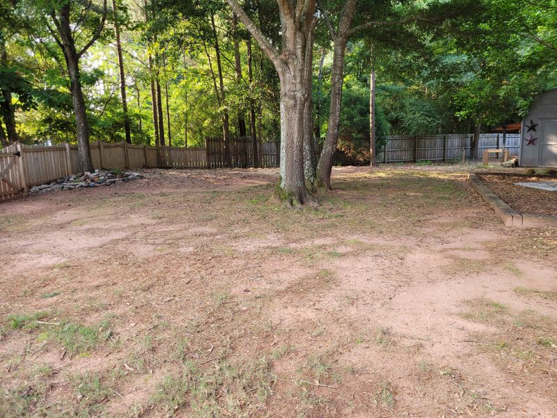 Residential Land Clearing