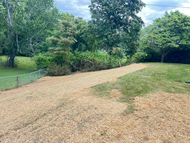 Soil Management and Mitigation