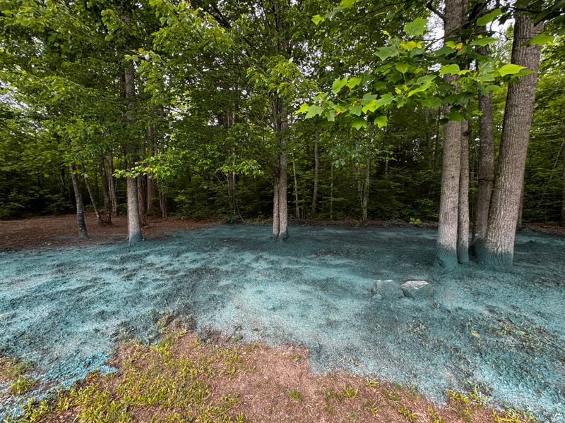 Hydroseeding