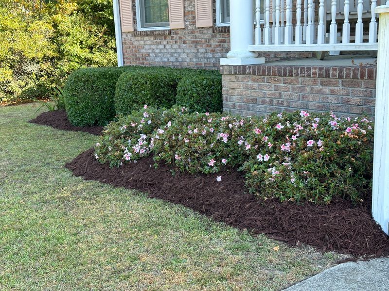Mulch Installation