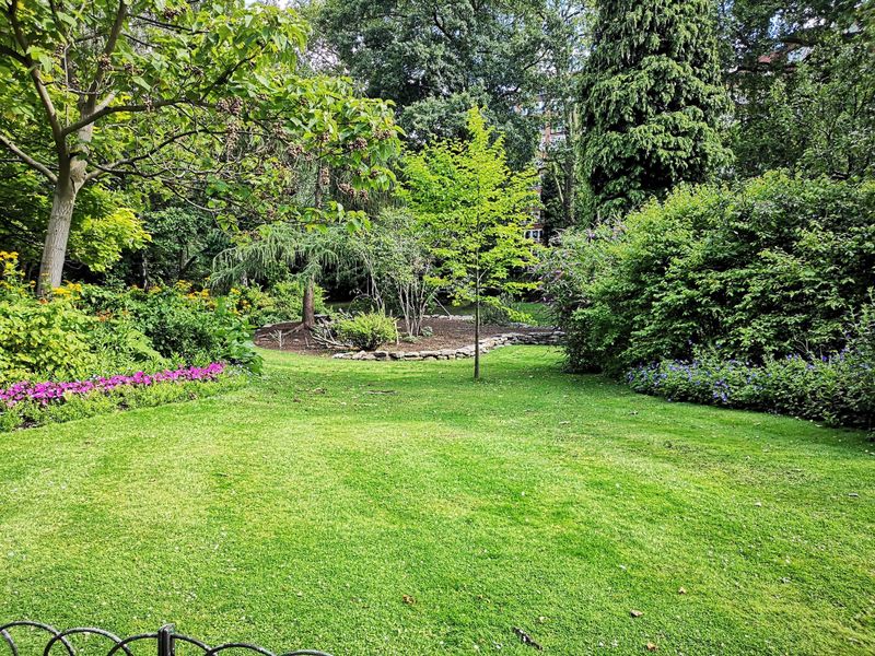 Lawn Care & Maintenance