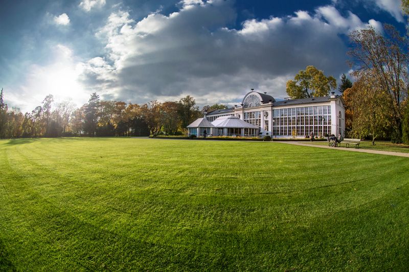 Lawn Care and Maintenance