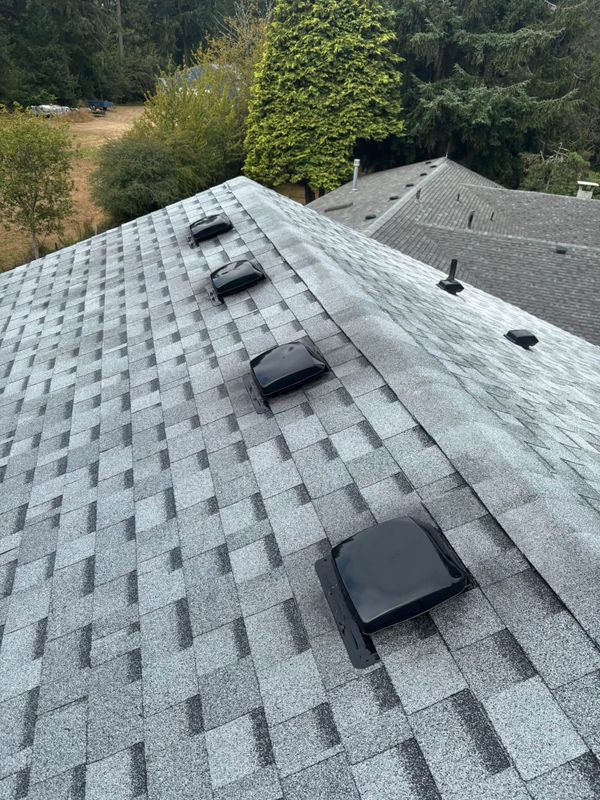Roof Cleaning
