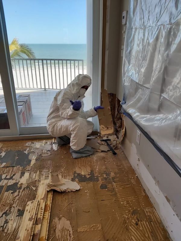 Mold Remediation