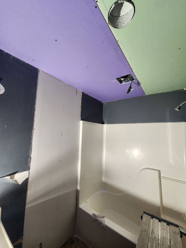 Mold Remediation