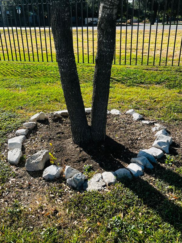 Fence Installation