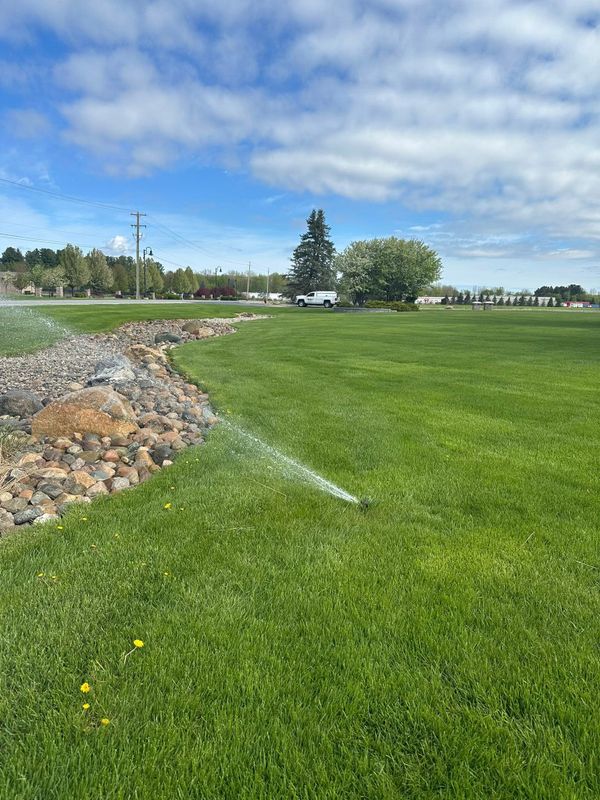 Lawn Maintenance