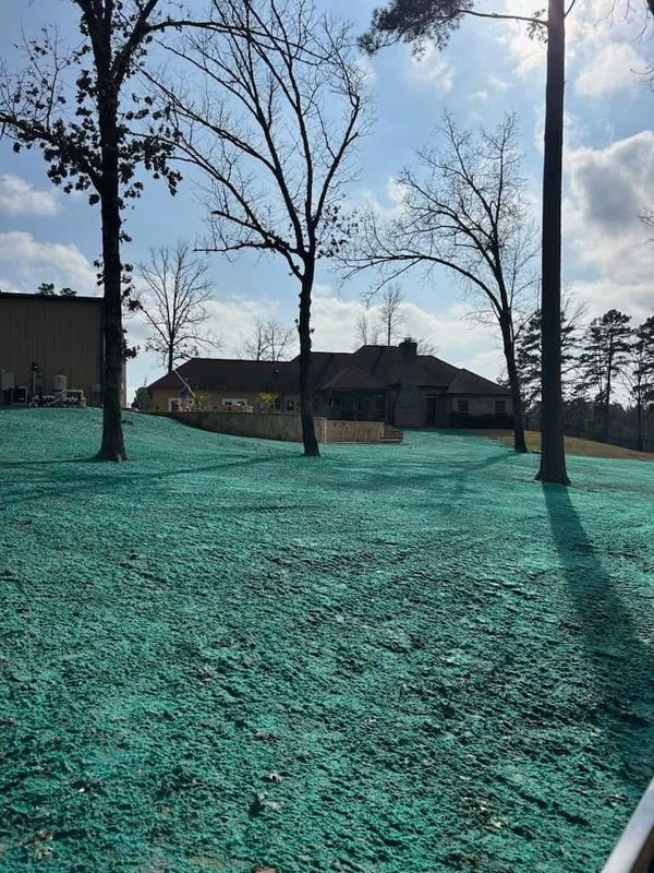 Hydroseeding gallery