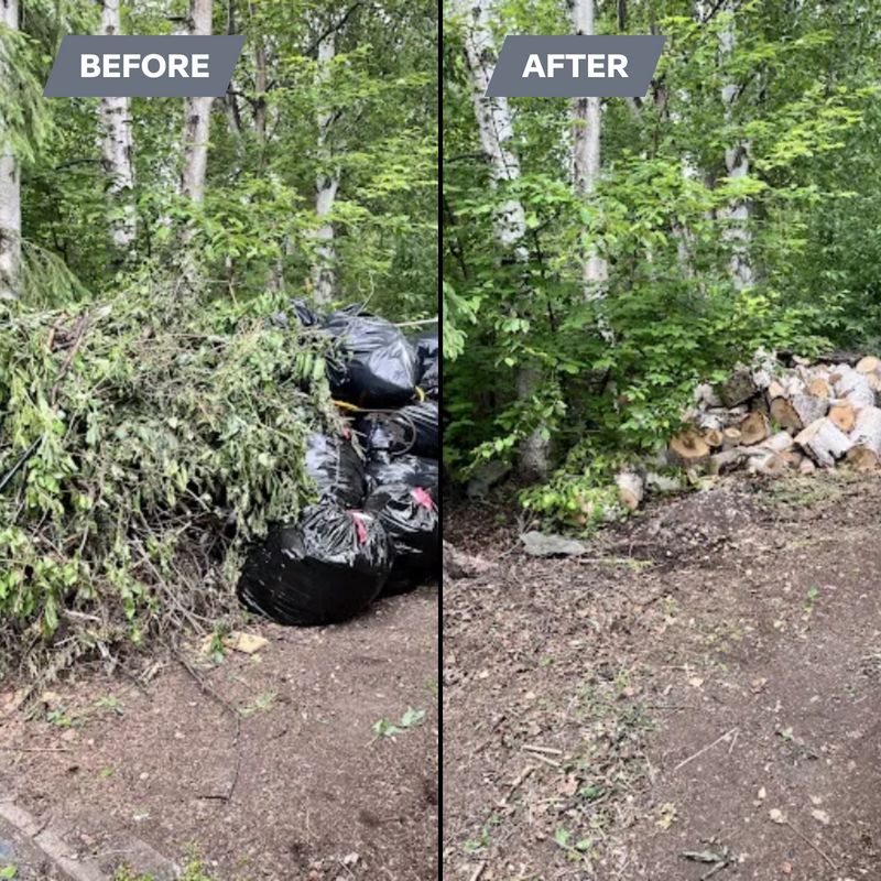 Before & Afters