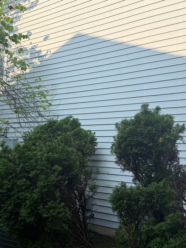 Residential Soft Washing