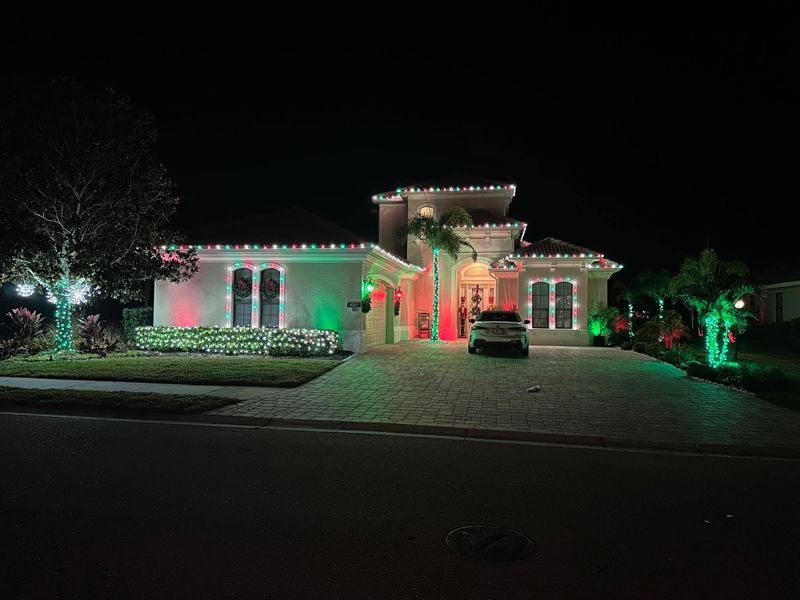 Christmas Light Installation 
