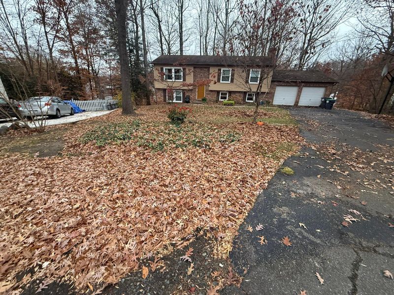 Leaf Removal