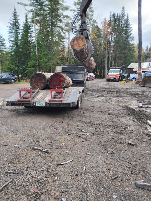 Tree Removal gallery