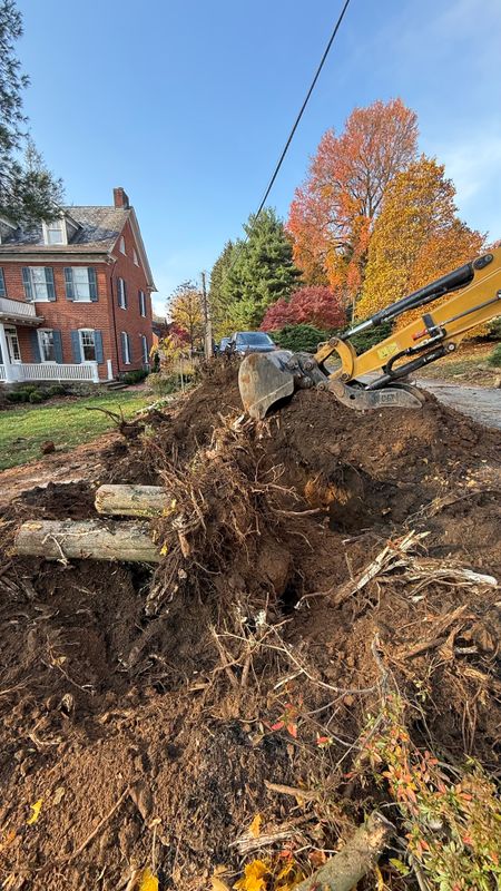 Tree Service
