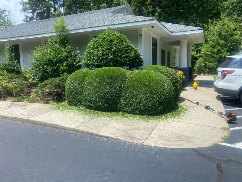 Shrub trimming 