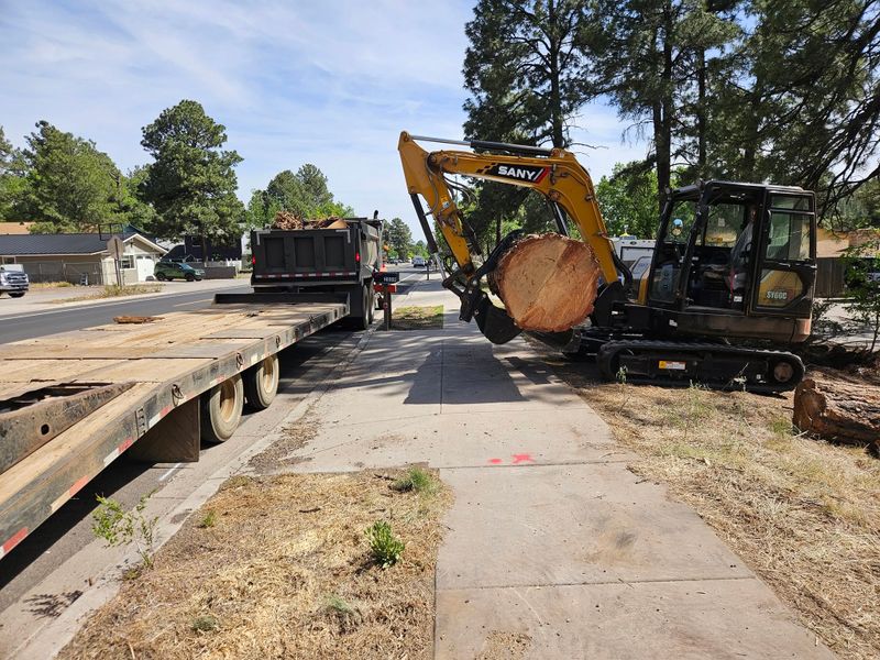 Material Hauling