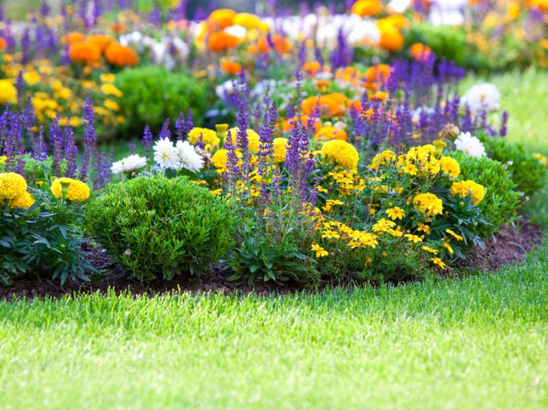 Flower Bed Treatment