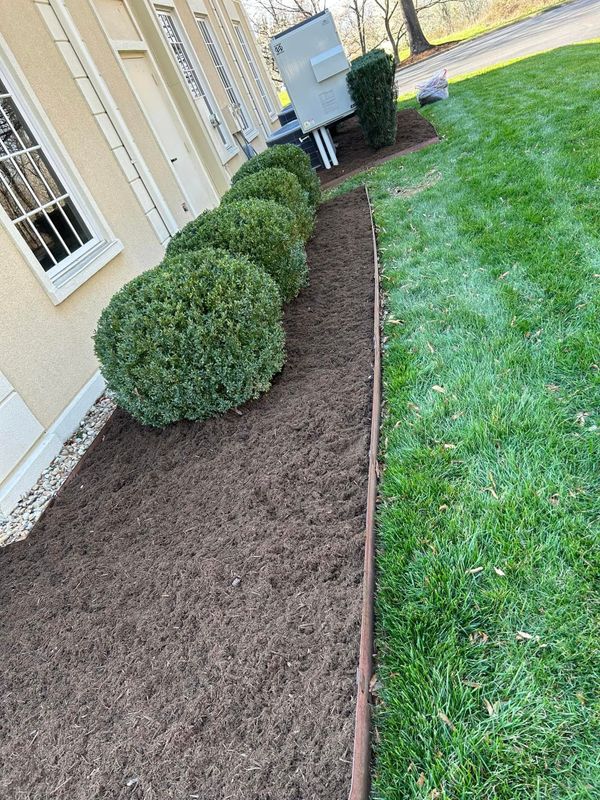 Shrub and Hedge Care