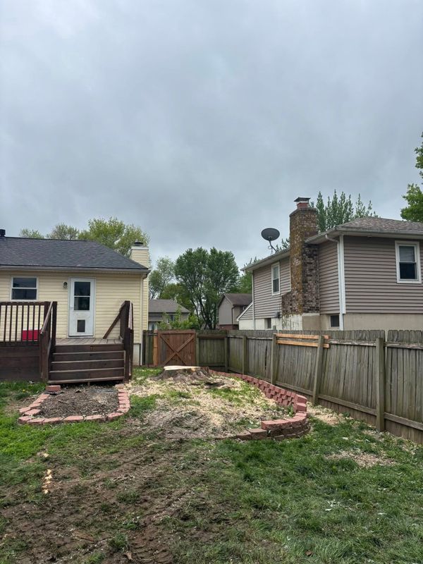 Tree Removal gallery